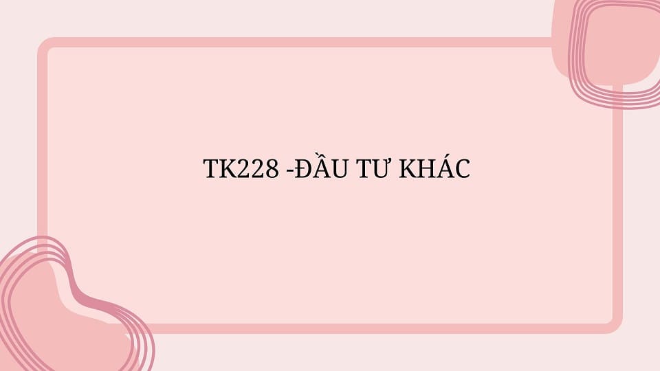 TK 228 đầu tư khác