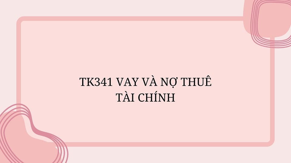 TK341 Vay và nợ thuê tài chính