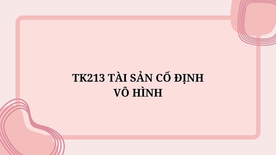 TK 213 tài sản cố định vô hình