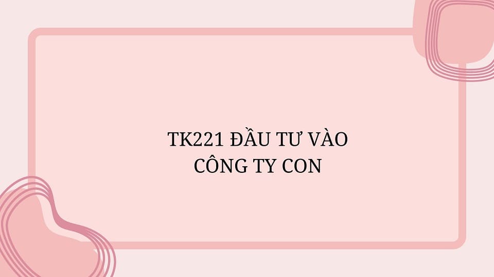 TK221 đầu tư vào công ty con