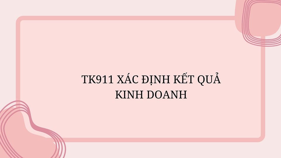 TK911 Xác định kết quả kinh doanh